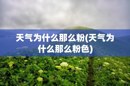 天气为什么那么粉(天气为什么那么粉色)