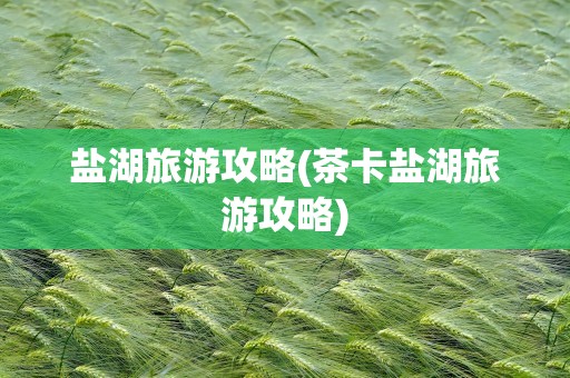 盐湖旅游攻略(茶卡盐湖旅游攻略)