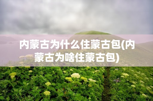 内蒙古为什么住蒙古包(内蒙古为啥住蒙古包)