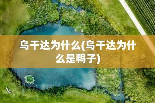 乌干达为什么(乌干达为什么是鸭子)