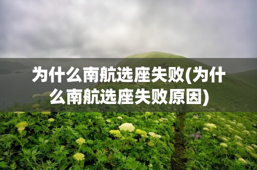 为什么南航选座失败(为什么南航选座失败原因)