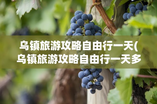 乌镇旅游攻略自由行一天(乌镇旅游攻略自由行一天多少钱)