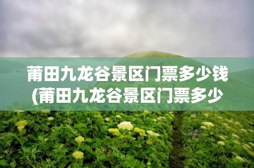 莆田九龙谷景区门票多少钱(莆田九龙谷景区门票多少钱一张)