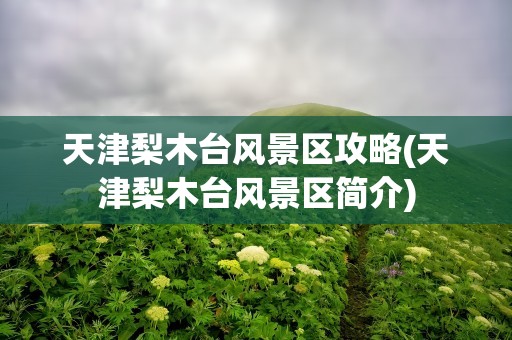 天津梨木台风景区攻略(天津梨木台风景区简介)