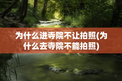 为什么进寺院不让拍照(为什么去寺院不能拍照)