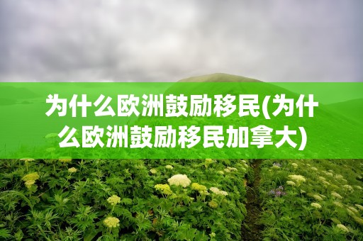 为什么欧洲鼓励移民(为什么欧洲鼓励移民加拿大)