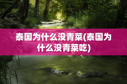 泰国为什么没青菜(泰国为什么没青菜吃)