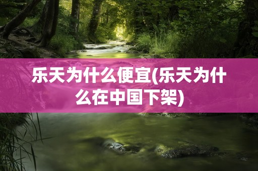 乐天为什么便宜(乐天为什么在中国下架)