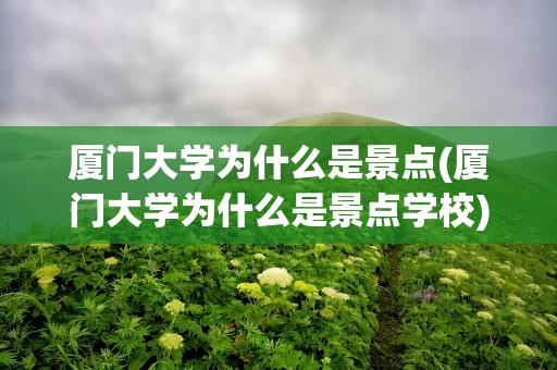 厦门大学为什么是景点(厦门大学为什么是景点学校)