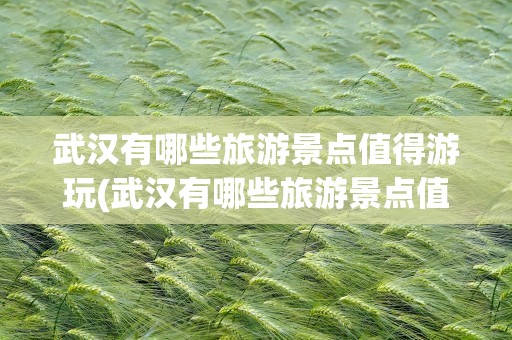 武汉有哪些旅游景点值得游玩(武汉有哪些旅游景点值得游玩湖北)
