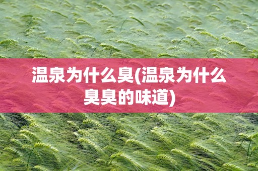 温泉为什么臭(温泉为什么臭臭的味道)