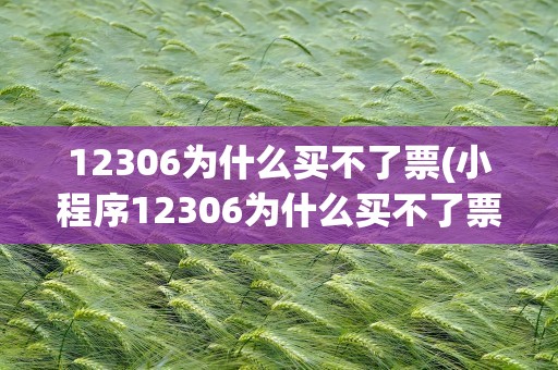 12306为什么买不了票(小程序12306为什么买不了票)
