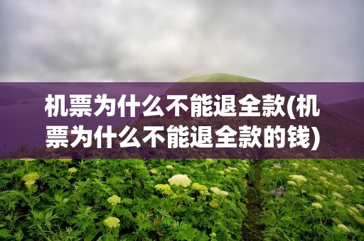 机票为什么不能退全款(机票为什么不能退全款的钱)