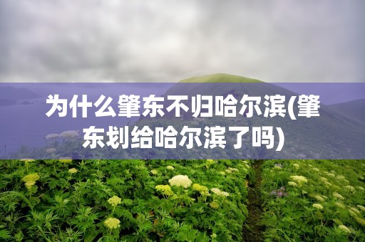 为什么肇东不归哈尔滨(肇东划给哈尔滨了吗)