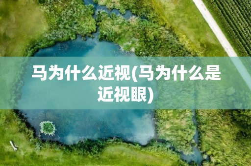 马为什么近视(马为什么是近视眼)