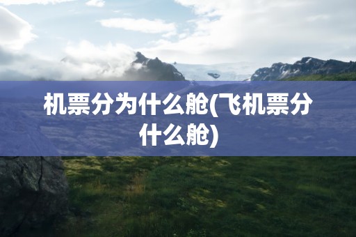 机票分为什么舱(飞机票分什么舱)