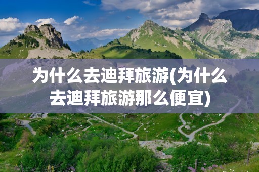 为什么去迪拜旅游(为什么去迪拜旅游那么便宜)