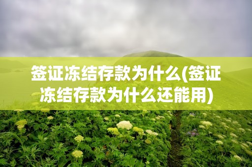 签证冻结存款为什么(签证冻结存款为什么还能用)