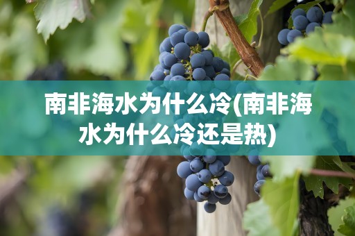 南非海水为什么冷(南非海水为什么冷还是热)