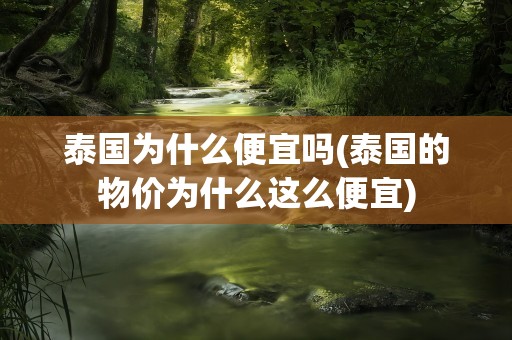 泰国为什么便宜吗(泰国的物价为什么这么便宜)