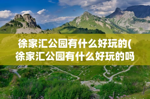 徐家汇公园有什么好玩的(徐家汇公园有什么好玩的吗)