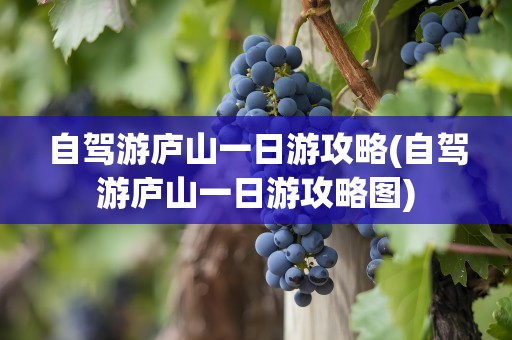 自驾游庐山一日游攻略(自驾游庐山一日游攻略图)