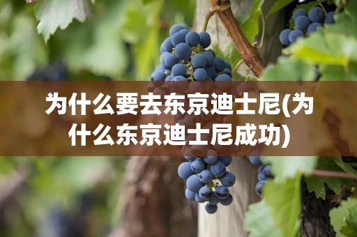 为什么要去东京迪士尼(为什么东京迪士尼成功)