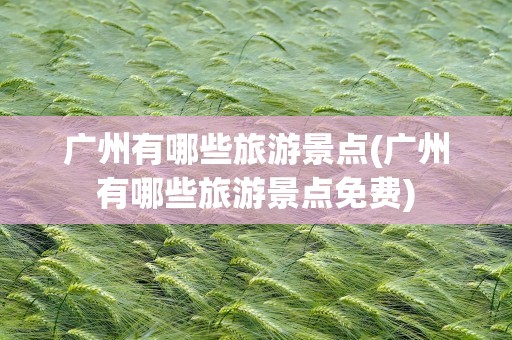 广州有哪些旅游景点(广州有哪些旅游景点免费)