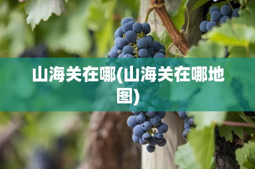 山海关在哪(山海关在哪地图)