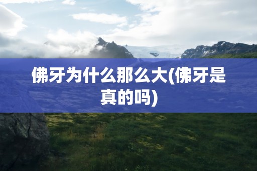 佛牙为什么那么大(佛牙是真的吗)