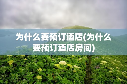 为什么要预订酒店(为什么要预订酒店房间)