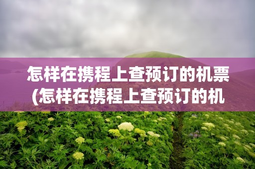 怎样在携程上查预订的机票(怎样在携程上查预订的机票订单)