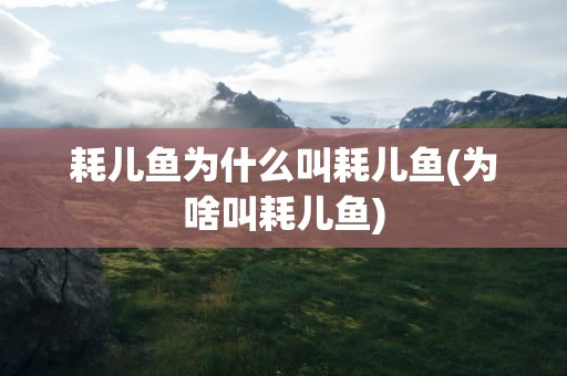 耗儿鱼为什么叫耗儿鱼(为啥叫耗儿鱼)
