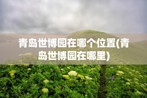 青岛世博园在哪个位置(青岛世博园在哪里)