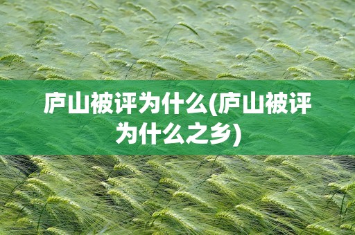 庐山被评为什么(庐山被评为什么之乡)