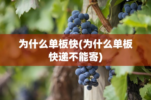为什么单板快(为什么单板快递不能寄)