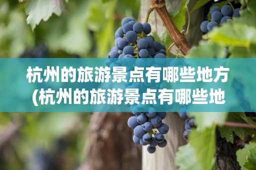 杭州的旅游景点有哪些地方(杭州的旅游景点有哪些地方好玩)
