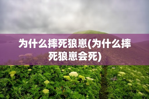 为什么摔死狼崽(为什么摔死狼崽会死)