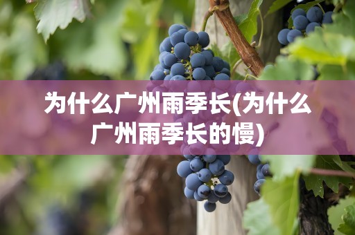 为什么广州雨季长(为什么广州雨季长的慢)