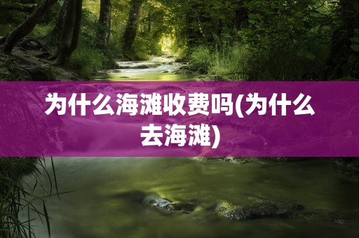 为什么海滩收费吗(为什么去海滩)
