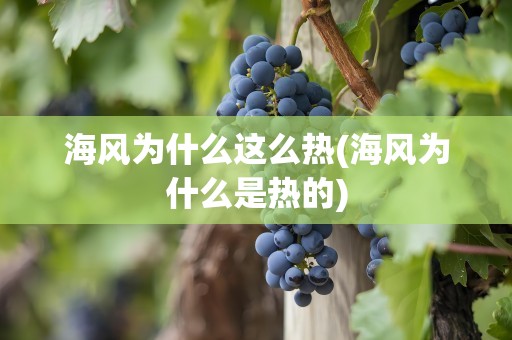 海风为什么这么热(海风为什么是热的)