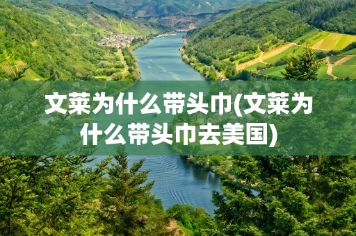文莱为什么带头巾(文莱为什么带头巾去美国)