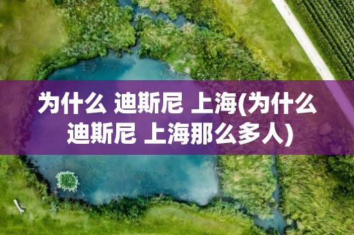为什么 迪斯尼 上海(为什么 迪斯尼 上海那么多人)