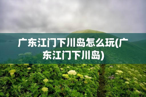 广东江门下川岛怎么玩(广东江门下川岛)