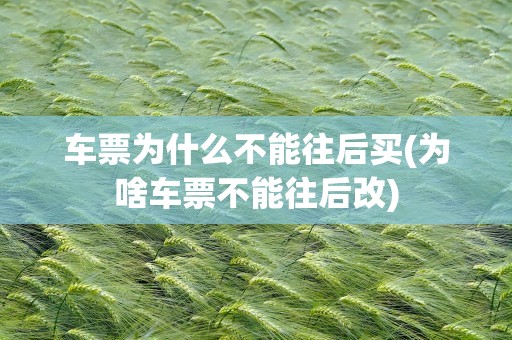 车票为什么不能往后买(为啥车票不能往后改)