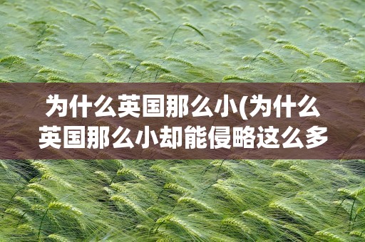 为什么英国那么小(为什么英国那么小却能侵略这么多国家)