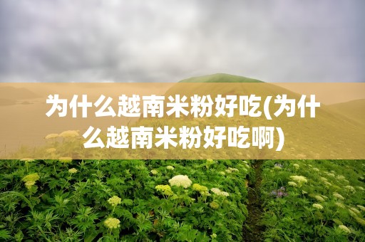 为什么越南米粉好吃(为什么越南米粉好吃啊)