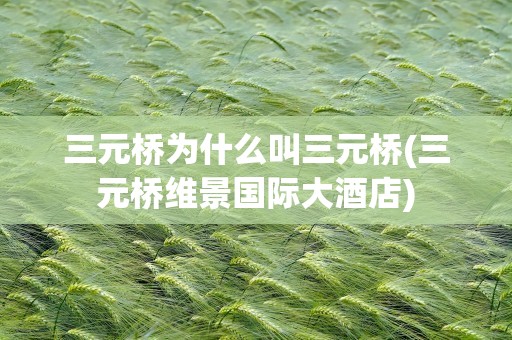 三元桥为什么叫三元桥(三元桥维景国际大酒店)