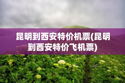 昆明到西安特价机票(昆明到西安特价飞机票)