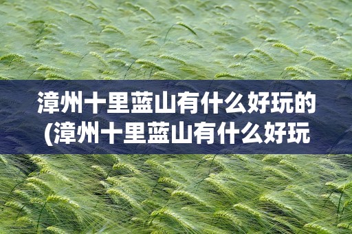 漳州十里蓝山有什么好玩的(漳州十里蓝山有什么好玩的地方)